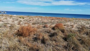A beach with dry vegetation and a clear blue sky.