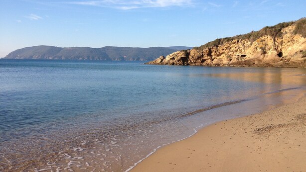 A beach with clear water, sandy shore, and rocky cliffs in the background. - Appartamento Villa da 4 Fino a 5 Persone Giardino (Capoliveri)