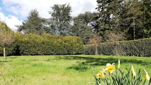 Un campo cubierto de hierba, con setos y árboles al fondo.