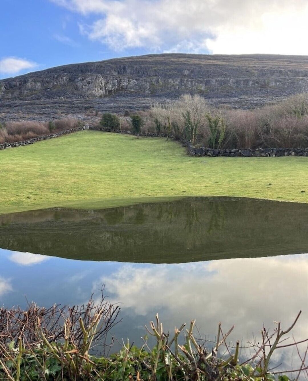 A tranquil landscape with a grassy field, a pond, and a hill in the background.