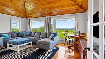 Televisión, chimenea, libros y oficina