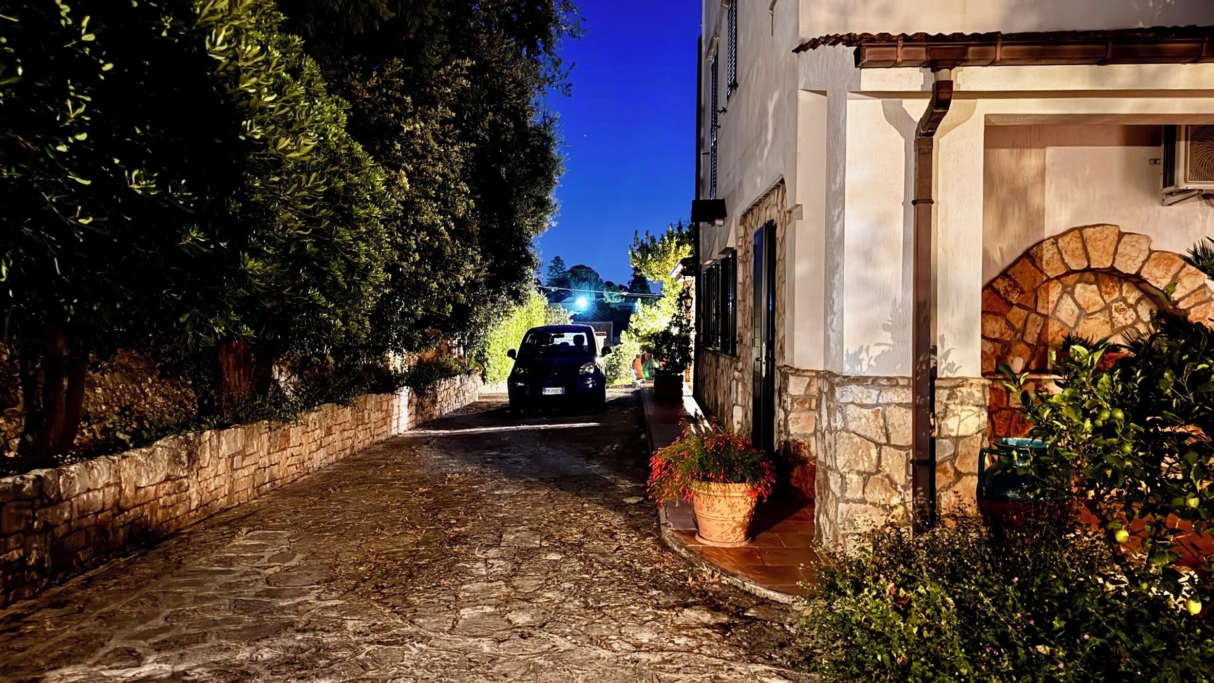 A narrow cobblestone street flanked by stone walls and lush greenery, leading to a building with a stone facade and a wooden door.