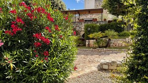 المنطقة المحيطة بالمنشأة