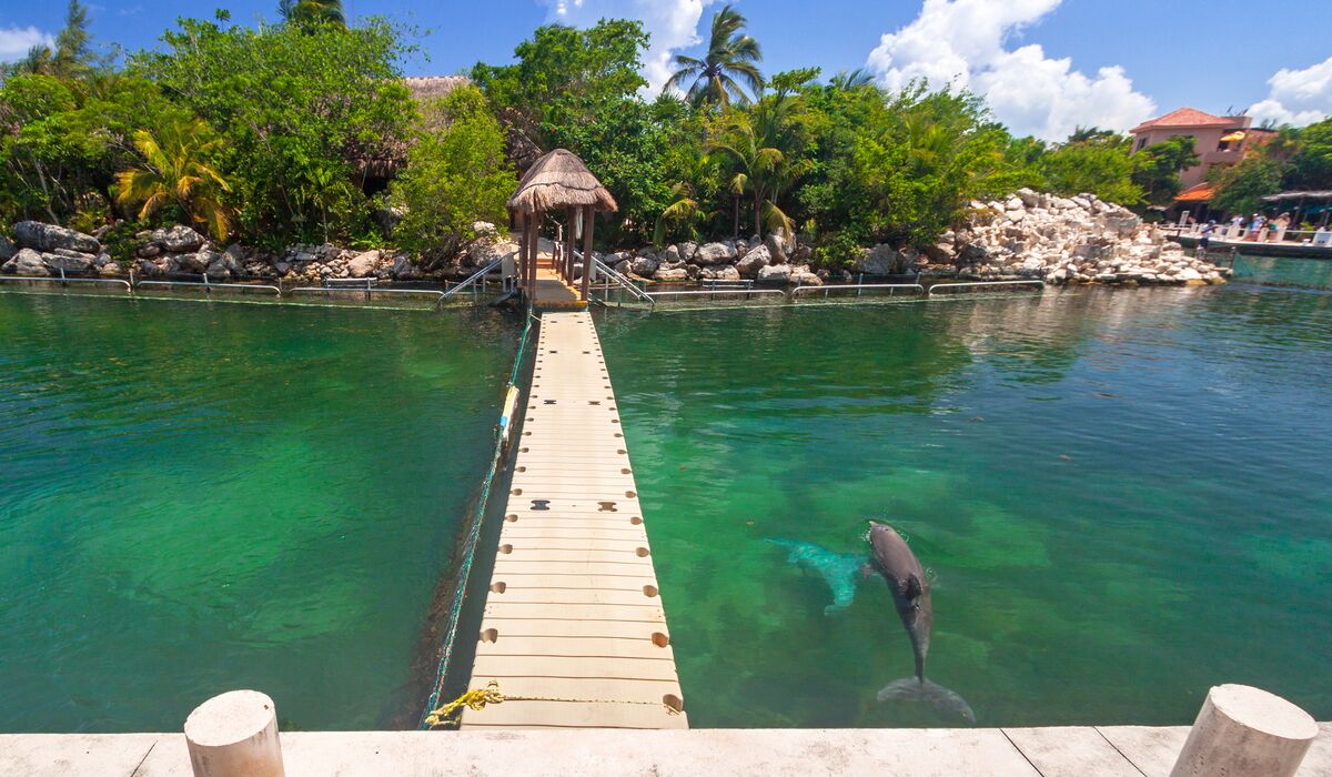 Un muelle de madera que lleva a una estructura con techo de paja, rodeada de exuberante vegetación y una piscina azul cristalina.