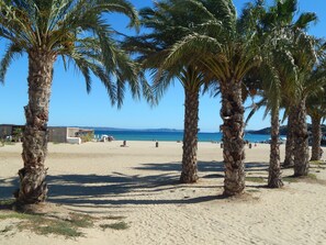 A sandy beach with palm trees and a clear blue sky.