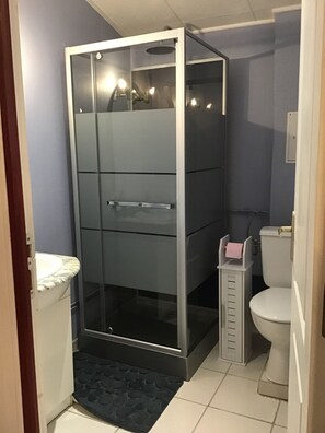 Regadera, secadora de cabello, papel de baño 