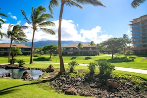 Tropical paradise with lush lawns, palm trees, and mountain views.