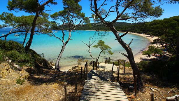 Een houten pad dat naar een strand leidt met helder turquoise water en pijnbomen.