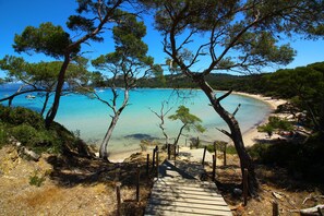 Een houten pad dat naar een strand leidt met helder turquoise water en pijnbomen.