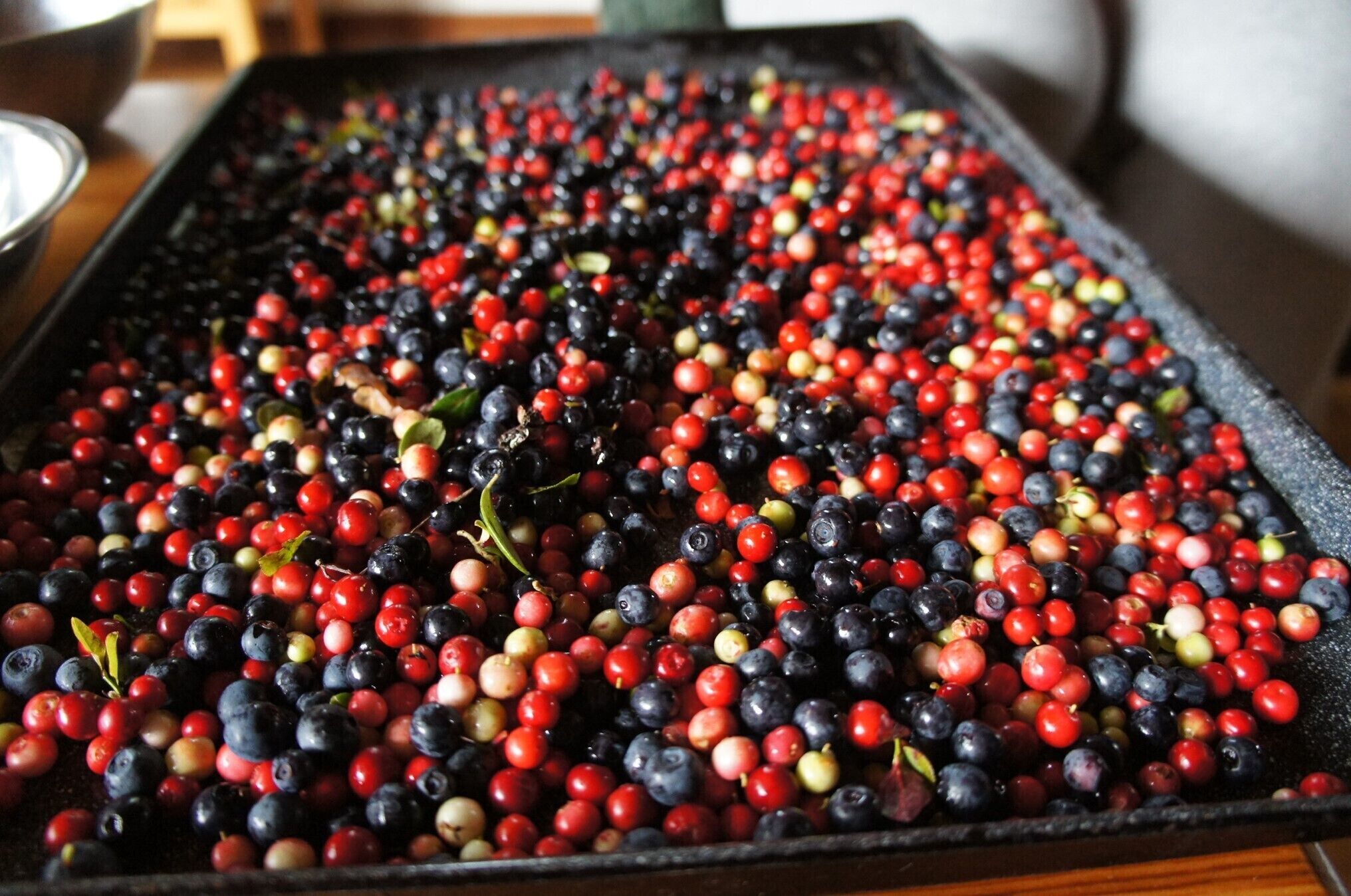 A tray filled with mixed berries.