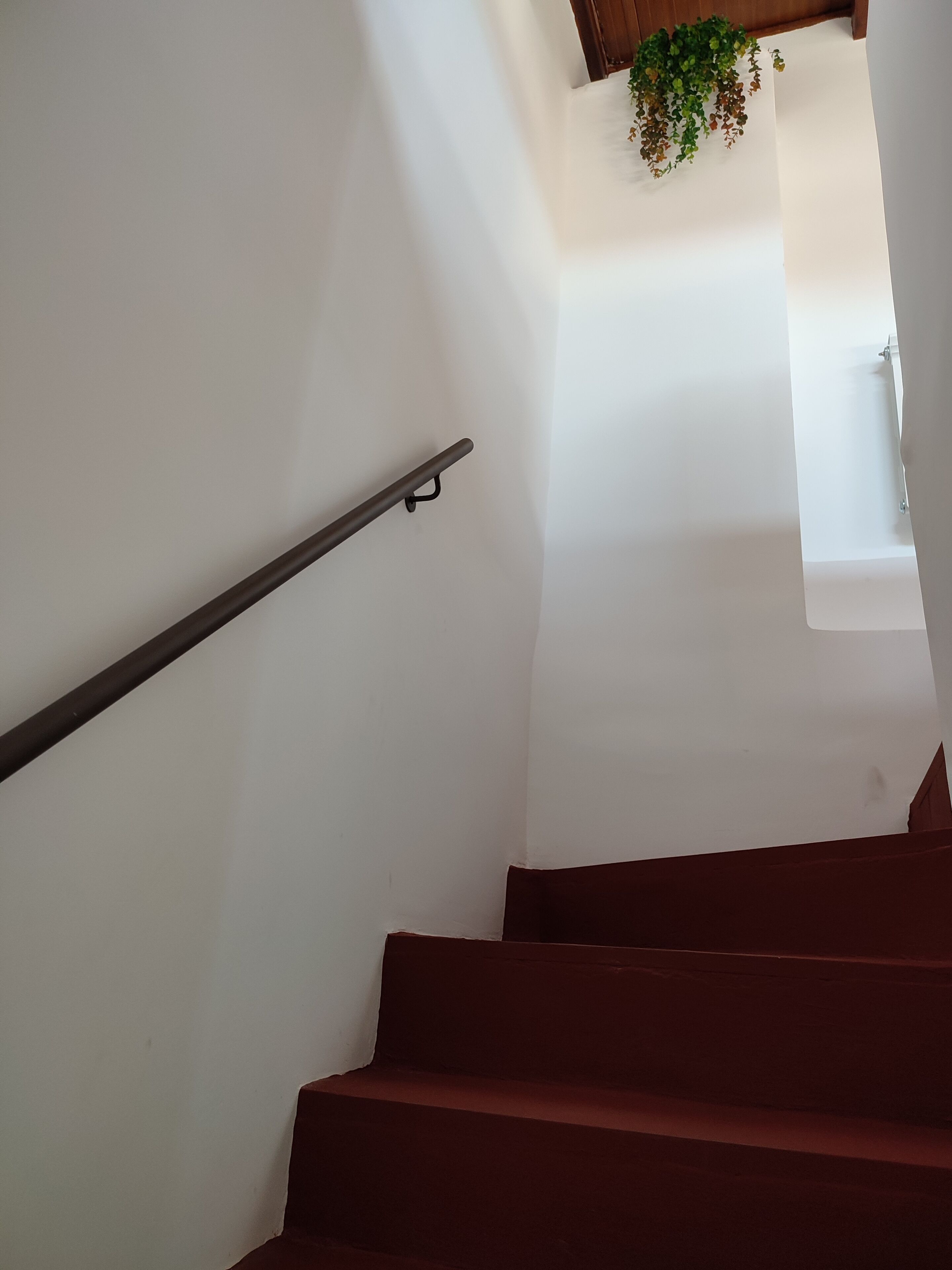 Una escalera con barandilla y una planta colgando del techo.