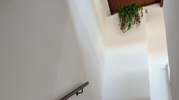Una escalera con barandilla y una planta colgando del techo.