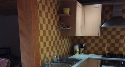 APARTMENT OVERLOOKING PIC DU VISCOS AND CABALIROS GROUND FLOOR 4 PEOPLE