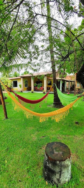 Relax in a hammock suspended between trees, surrounded by a tranquil outdoor setting.