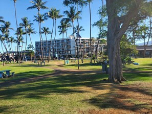 Property grounds - Private Cozy Studio walking distance to beaches, shops, restaurants and bars (Kihei)