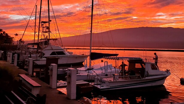 A marina with boats docked, a dock, and a sunset in the background. - Private Cozy Studio walking distance to beaches, shops, restaurants and bars (Kihei)