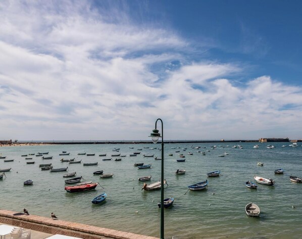 A coastal view with numerous boats on calm water, a clear sky, and a distant shoreline.