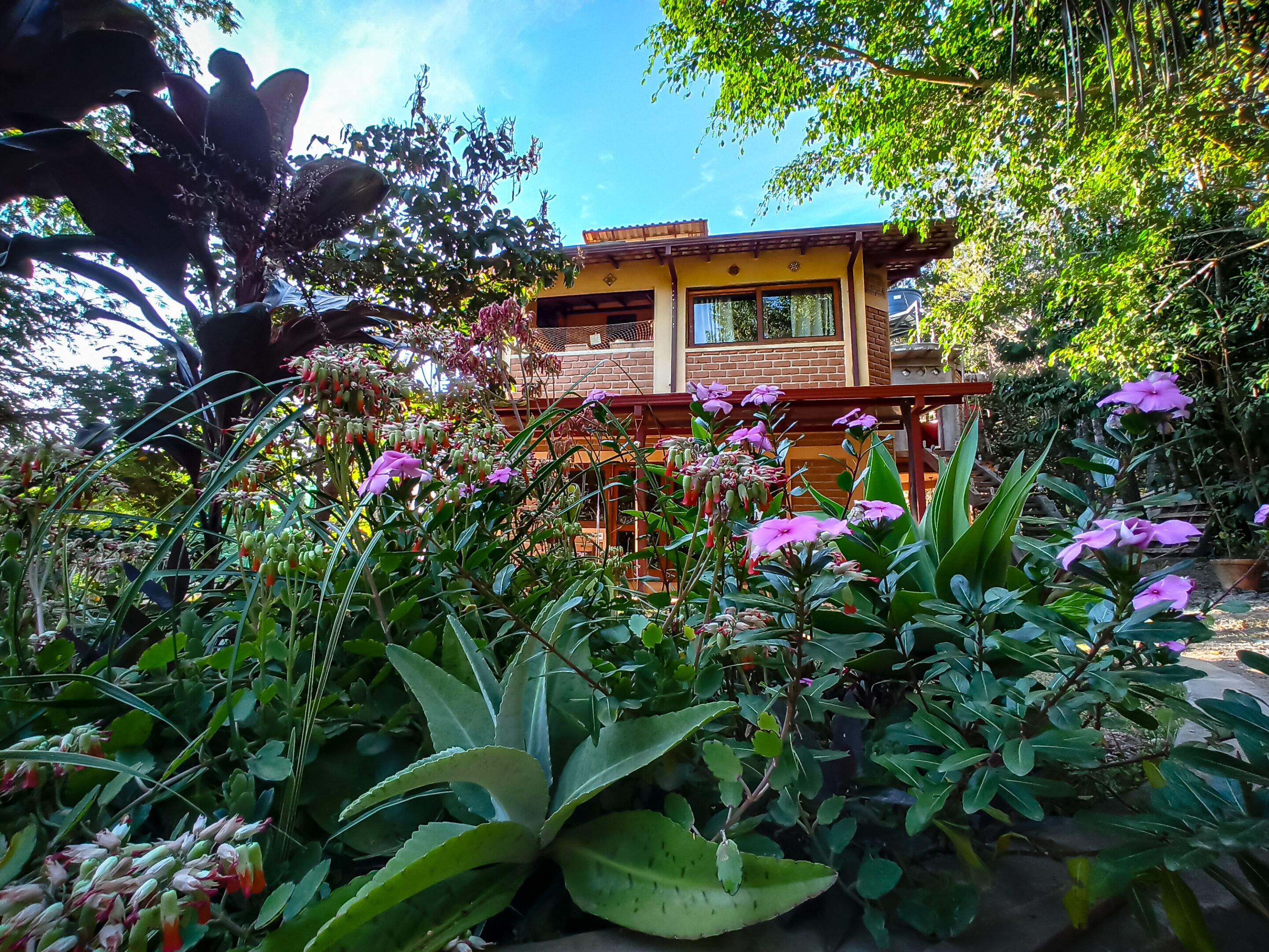 家庭别墅, 无障碍, 私人浴室 (Comfort Ecologic Vista) | 花园