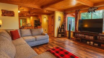 Smart TV, fireplace, DVD player, video library