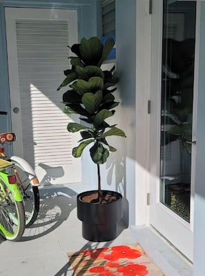 A potted plant in a black pot on a tiled floor next to a door. - Singer Island 2 bedroom w/ free parking- no stairs (North unit) (Palm Beach Shores)