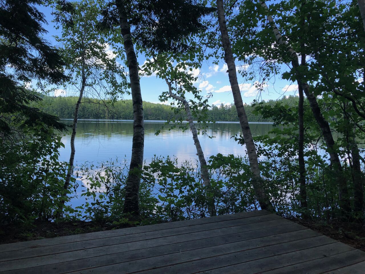 A wooden deck overlooking a calm lake with trees in the foreground.