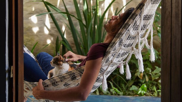 A person relaxing in a hammock outdoors, with a cat nearby. - Chale Ipe Jatoba (Alto Paraíso de Goiás)