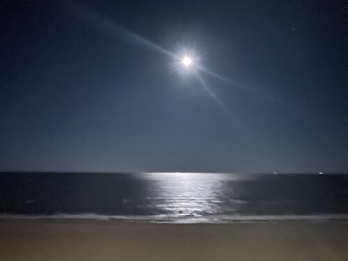 Family friendly studio with sound, beach, and pool access