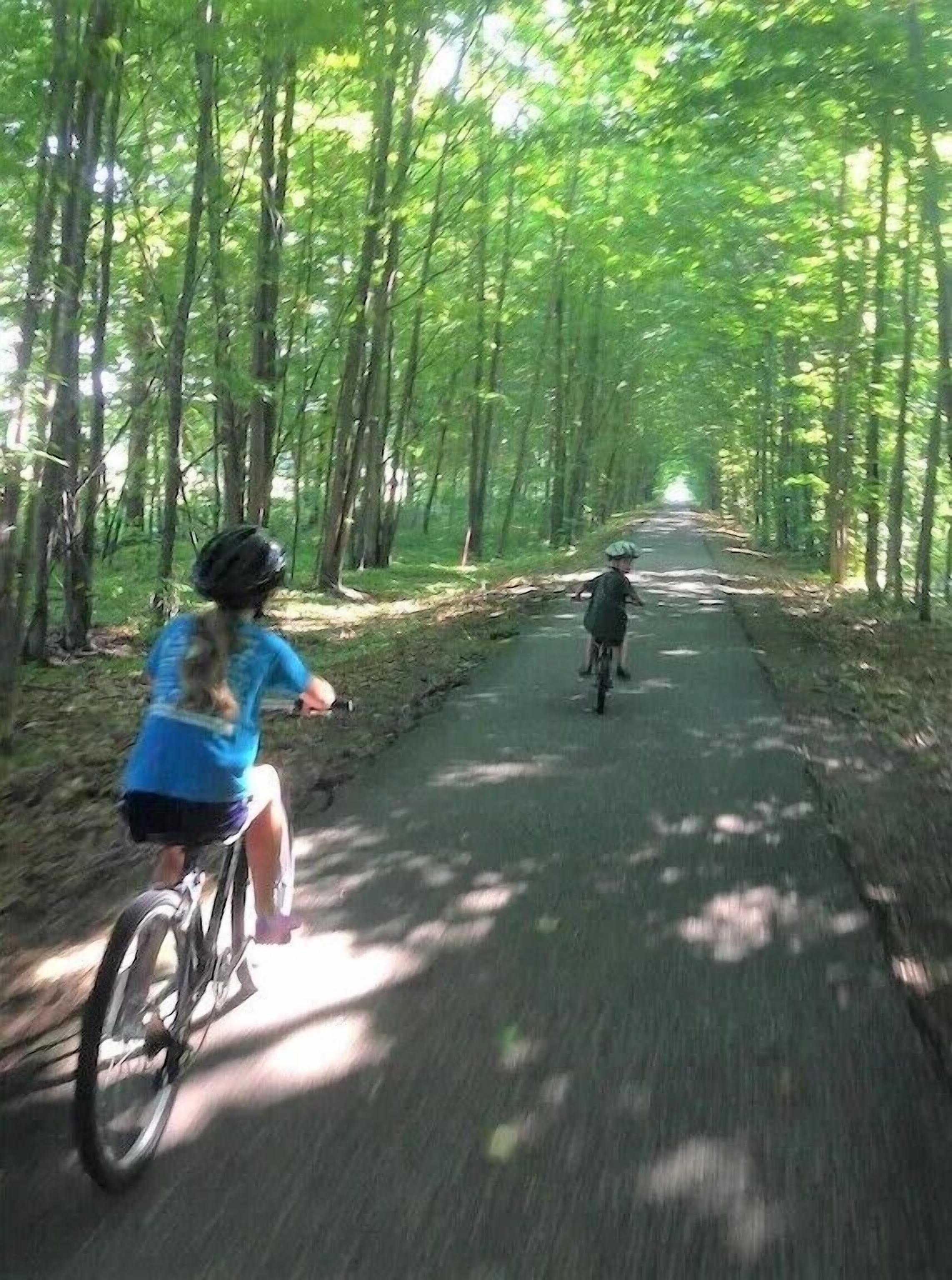 Un chemin pavé bordé de grands arbres, idéal pour faire du vélo ou pour se promener.