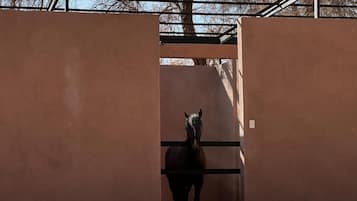 Enceinte de lâhĂ©bergement