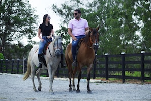 Équitation