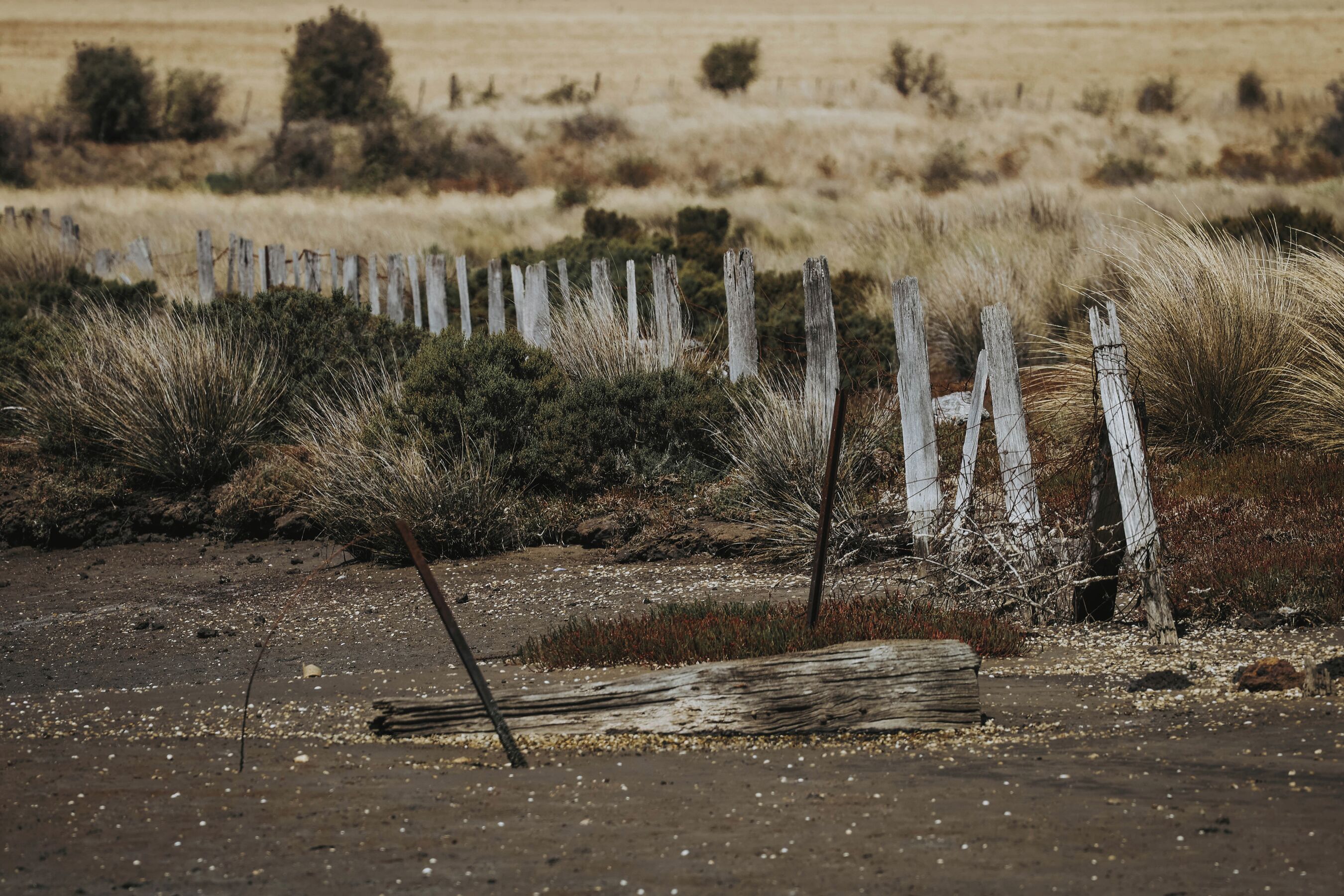 Paisaje rural con una cerca de madera desgastada, vegetación escasa y terreno de tierra.