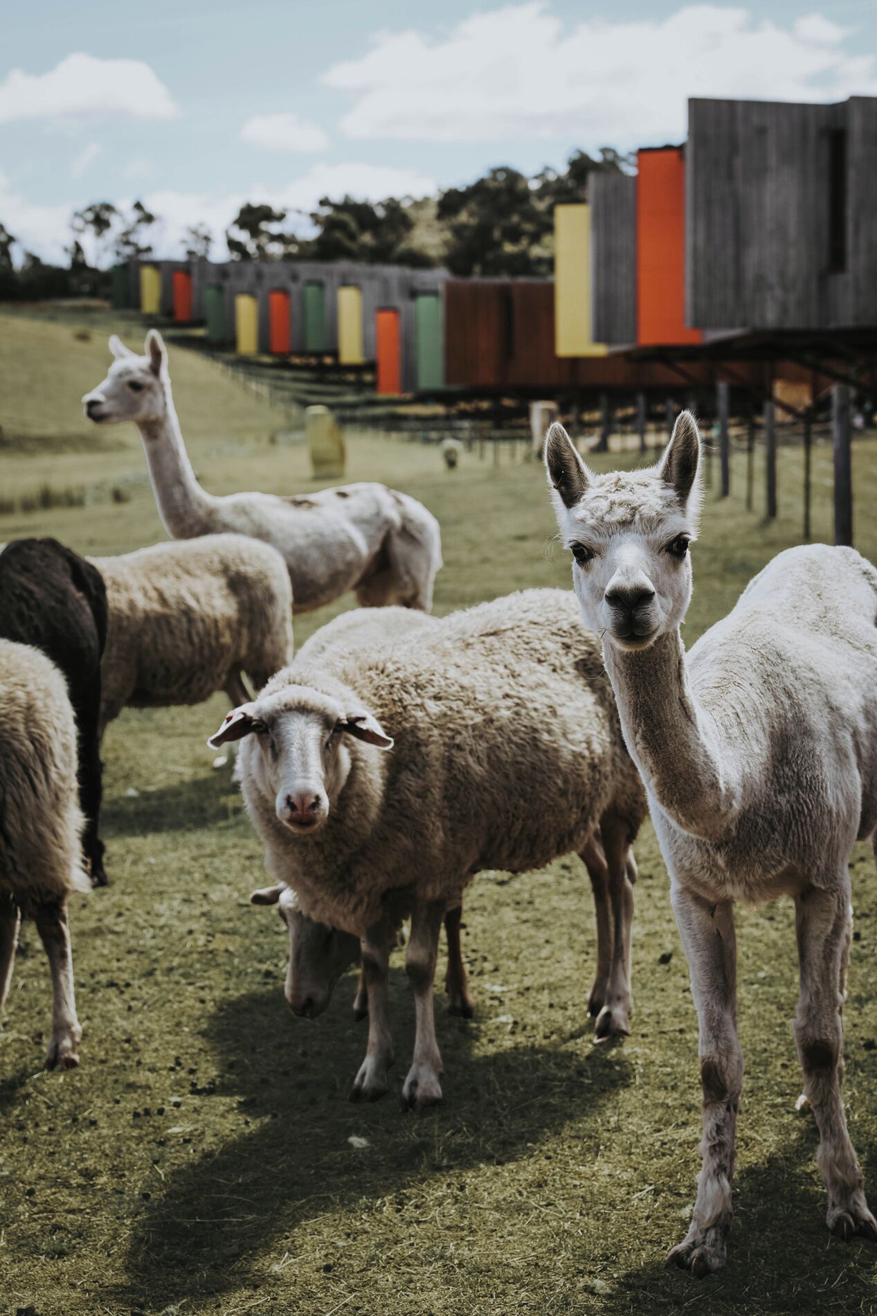 children’s activities