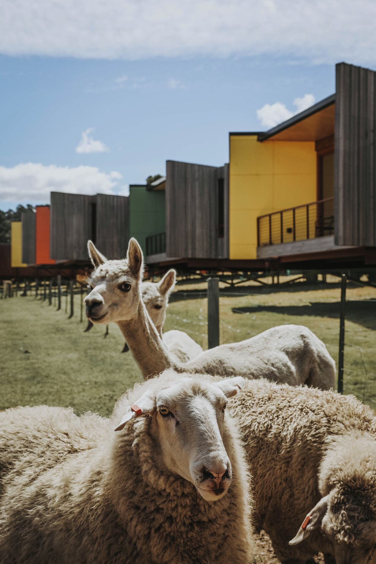 premium room (pavilion water) | exterior