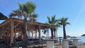 Une structure en bois située au bord de la plage, dotée de sièges et bordée de palmiers.