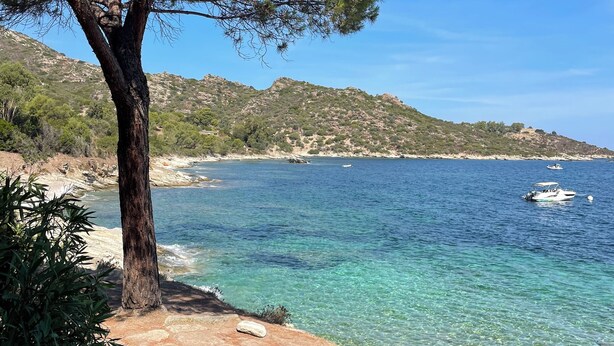 Un paysage côtier offrant une vue dégagée sur la mer, un sentier bordé d’arbres et une ligne de côte lointaine.