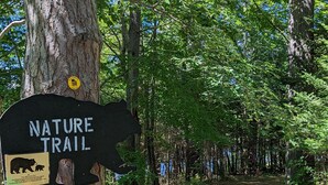 A nature trail sign with a bear warning and a bear cub illustration. - Pinecone Place - A True North Vacation Home (Long Lake)