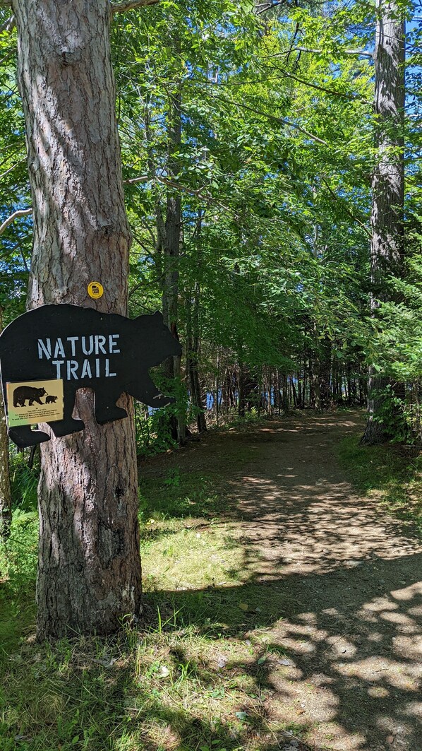A nature trail sign with a bear warning and a bear cub illustration. - Pinecone Place - A True North Vacation Home (Long Lake)