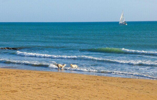 Playa