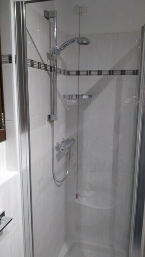 Shower, hair dryer, bidet, toilet paper