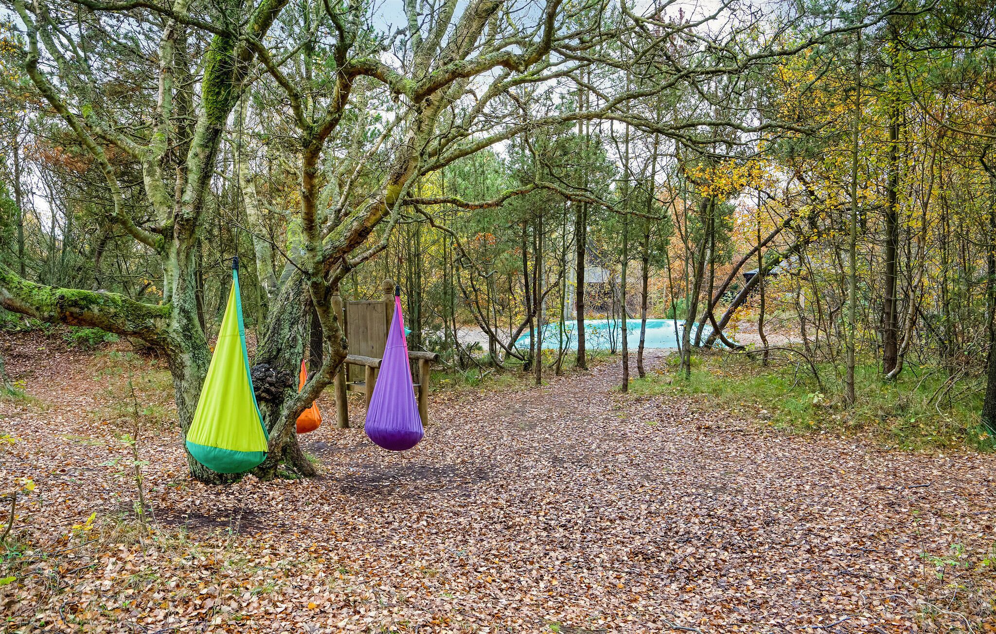 A forested area with a path leading to a pool.