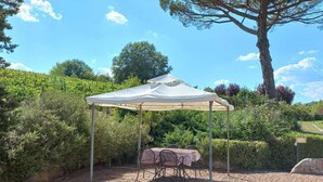 Un espace extérieur abrité, aménagé avec une table et des chaises, entouré de verdure et offrant une vue sur un ciel dégagé.