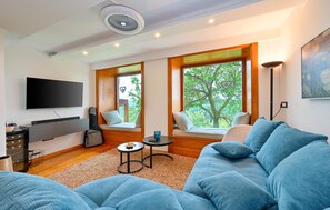 Smart-TV, Kamin