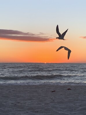 Une plage avec des vagues et un coucher de soleil en arrière-plan.