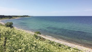 Tæt på stranden, fiskeri