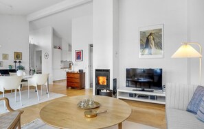 TV, fireplace, DVD player - Amazing home in Aabenraa with sauna (Aabenraa)