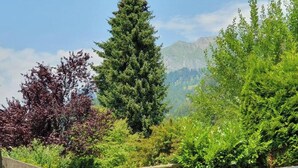 A mountainous landscape with dense greenery and a variety of trees. - Grand Maisonette-Attica, Jenins, Top of Heidiland (Jenins)