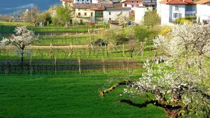 A hillside village with traditional buildings, a church, and blooming trees.
