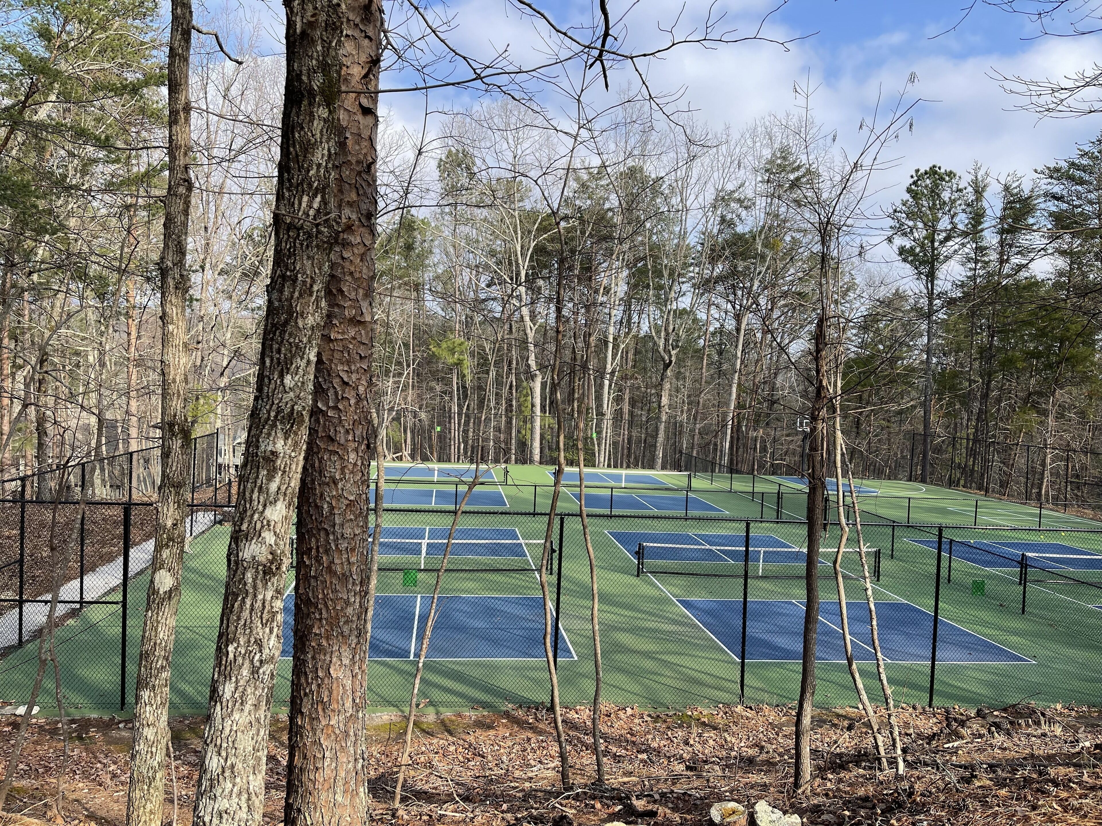 Een tennisbaan omringd door bomen.