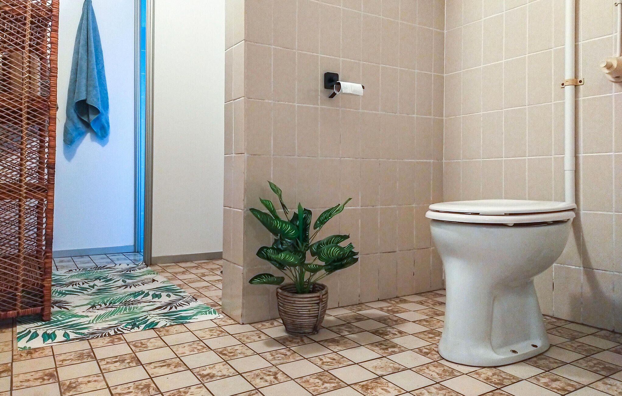 Een badkamer met toilet, een kamerplant en een douchehoek.