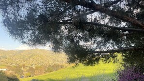 A serene landscape with a pond, stone structures, and a statue. - Beautiful Villa with Pool & Scenic Views in foothills close to Sequoia's (Exeter)